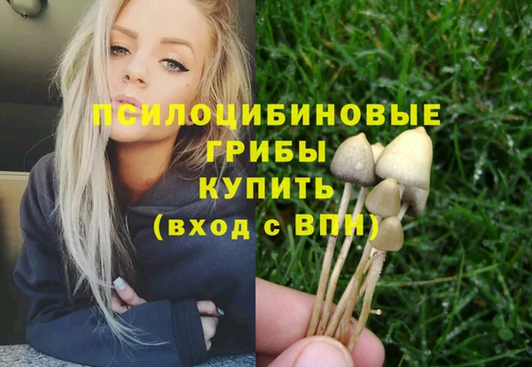 МДПВ Гусиноозёрск