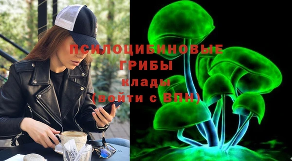 спайс Белокуриха