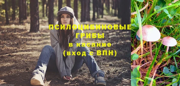ПСИЛОЦИБИНОВЫЕ ГРИБЫ Богородск