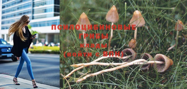 бутик Богданович